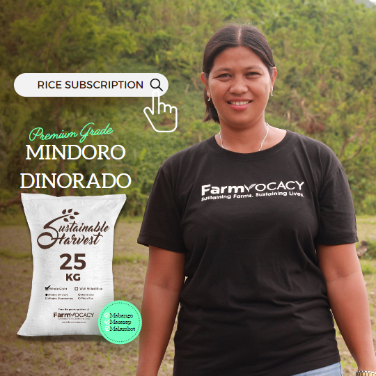 6-months Mindoro Dinorado (Premium) Rice Subscription