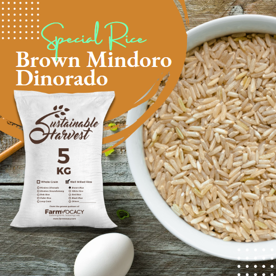 Brown Mindoro Dinorado (Premium)
